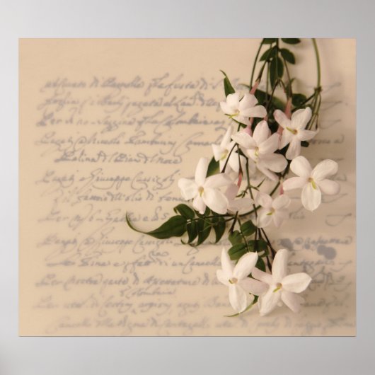 ジャスミン古筆跡ポスター巨乳 ポスター (正面)