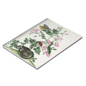 ジャスミン: ヘビ、ガ、caterpillerおよびchrysalを使って ノートブック (左側)