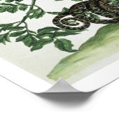 ジャスミン:ヘビ、蛾、キャタピラー、クリザールと ポスター (角)