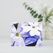 ジャスミン ポストカード (スタンド正面)