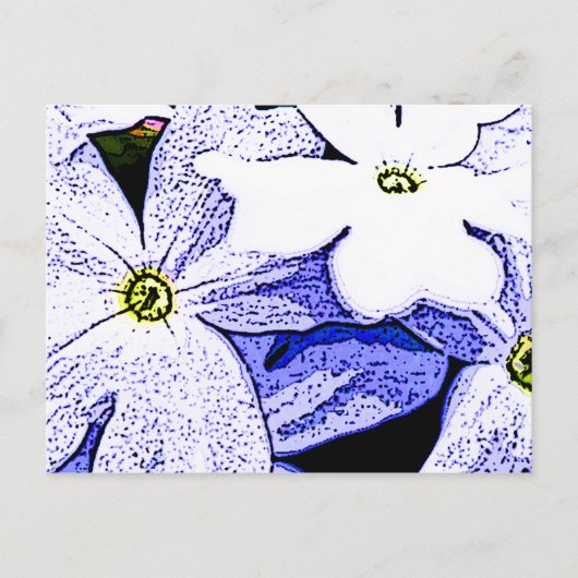 ジャスミン ポストカード (正面)