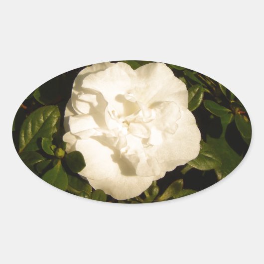 ジャスミン 楕円形シール (正面)