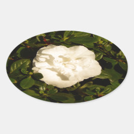 ジャスミン 楕円形シール