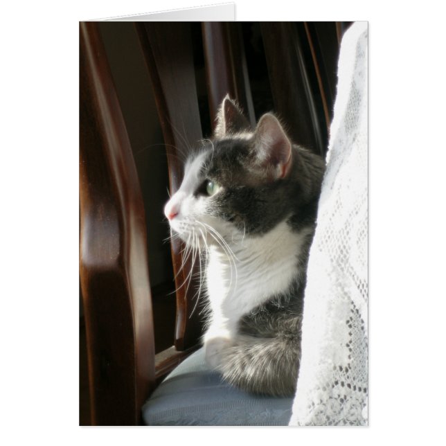 "ジャスミン" (2) (正面)