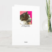 ジャズギターのバレンタインカード シーズンカード (裏面)