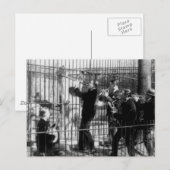 ジャズバ遊ンドの熊の音楽 ポストカード (正面/裏面)