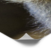 ジャズポスター ポスター (角)