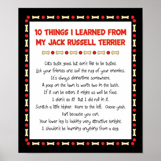 ジャッおもしろいク学・ラッセル・テリア ポスター (正面)
