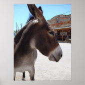 ジャッカス ポスター (正面)