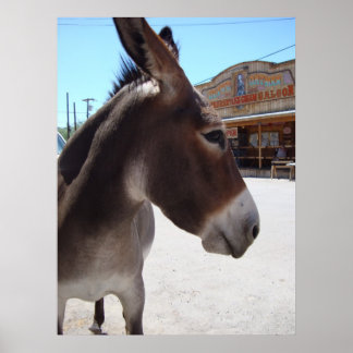 ジャッカス ポスター