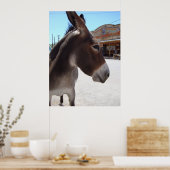 ジャッカス ポスター (キッチン)