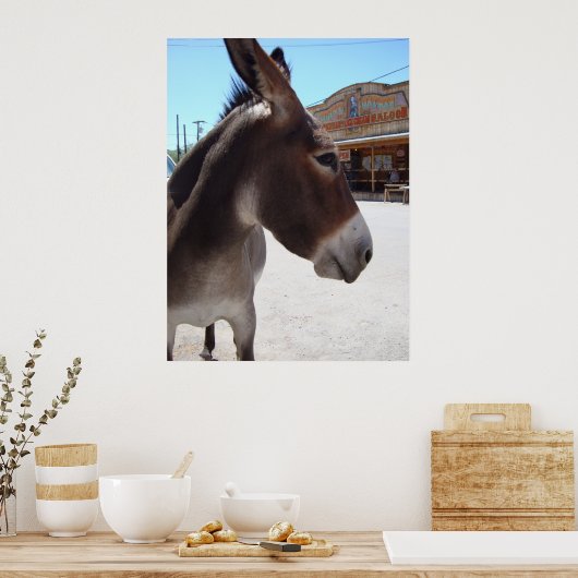 ジャッカス ポスター (キッチン)