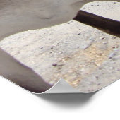 ジャッカス ポスター (角)