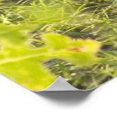 ジャッカロペ1 ポスター (角)