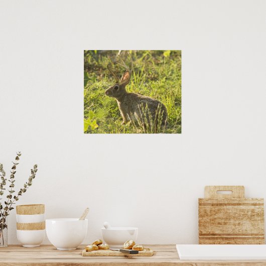 ジャッカロペ1 ポスター (キッチン)