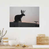 ジャッカロペ ポスター (キッチン)