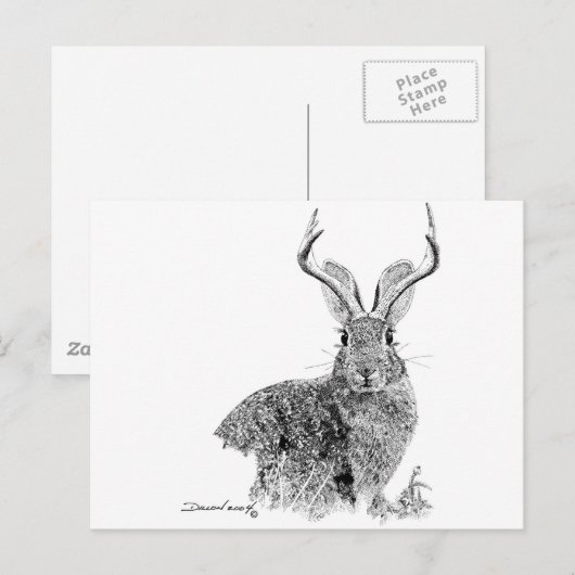 ジャッカロペ ポストカード (正面/裏面)