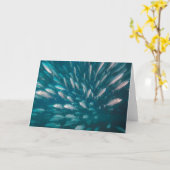 ジャッキに カード (黄色い花)