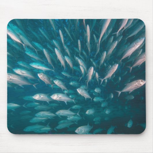 ジャッキに マウスパッド (正面)