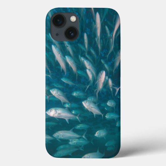 ジャッキに Case-Mate iPhoneケース (裏面)