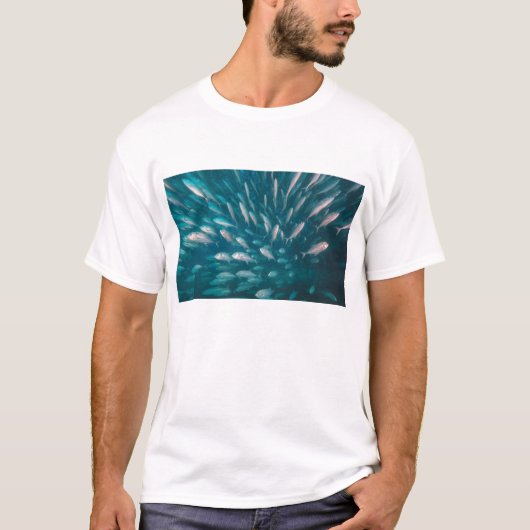 ジャッキに Tシャツ (正面)