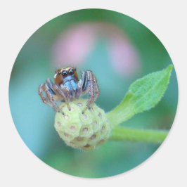 ジャッキを飛ばす友だち！ ラウンドシール