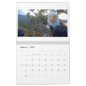 ジャッキー&シャドウ – Big Bear Eagle Calendar カレンダー (2月 2027)