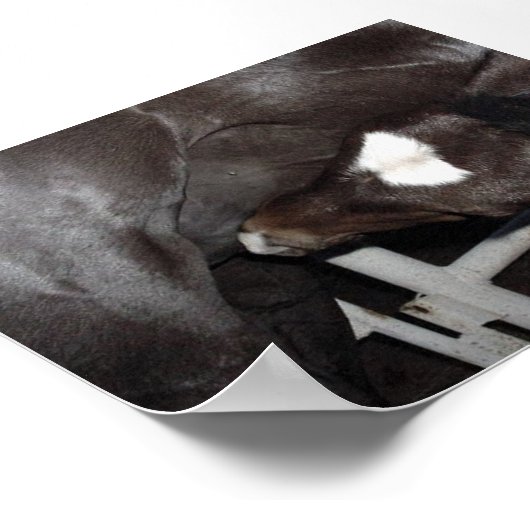 ジャックがミルクを飲む ポスター (角)