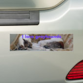 ジャックのコピー バンパーステッカー (車上)