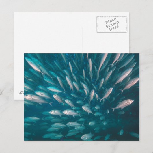 ジャックの中に ポストカード (正面/裏面)