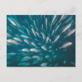 ジャックの中に ポストカード (正面)