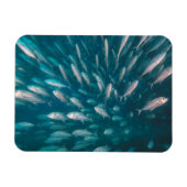 ジャックの中に マグネット (横)