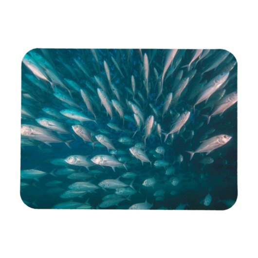 ジャックの中に マグネット (横)