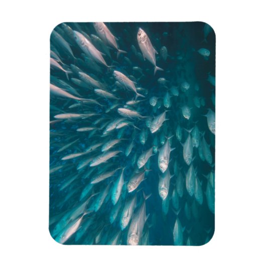 ジャックの中に マグネット (縦)