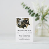 ジャックの名刺 名刺 (スタンド正面)