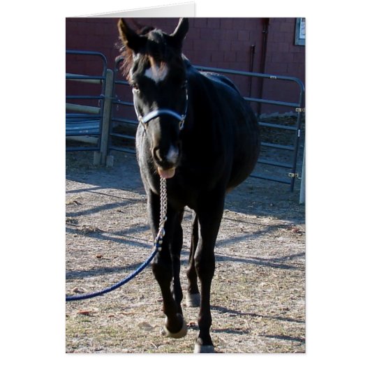 ジャックは舌を出す (正面)