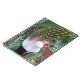 ジャックイン・ザ・プルピット工場フローラ ノートブック (左側)