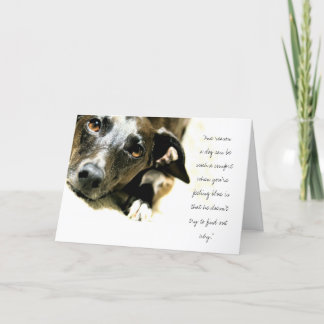 ジャックカード カード