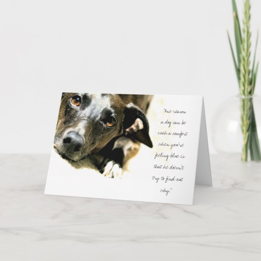 ジャックカード カード (正面)