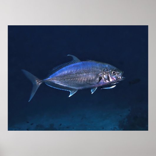 ジャッククリーニング ポスター (正面)