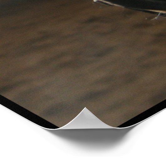 ジャックザクォーターホースポスター ポスター (角)