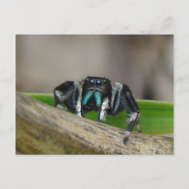 ジャックジャンプ！ ポストカード