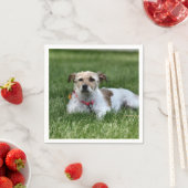 ジャックスクエア紙コースター スタンダードカクテルナプキン (インサイチュ)