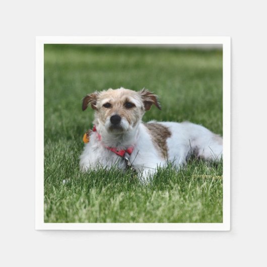 ジャックスクエア紙コースター スタンダードカクテルナプキン (正面)