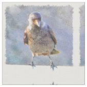 ジャックダウウォーターの色 ファブリック (クローズアップ)