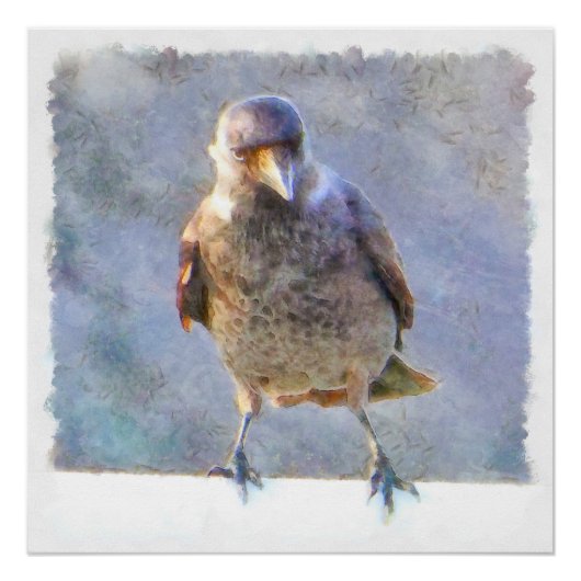 ジャックダウウォーターの色 ポスター (正面)