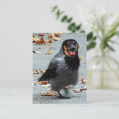 ジャックドッグ ポストカード (スタンド正面)