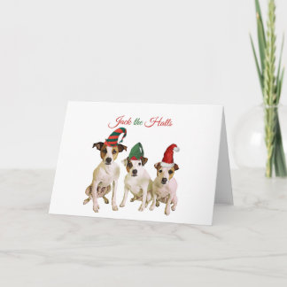 ジャックホール カード