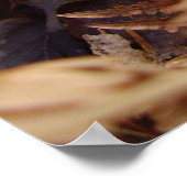 ジャックマッシュルームポスター ポスター (角)