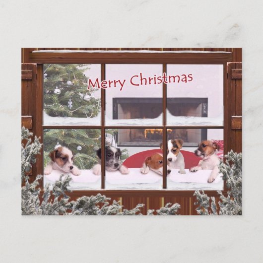 ジャックラッセルのクリスマスは挨拶を望みます シーズンポストカード (正面)